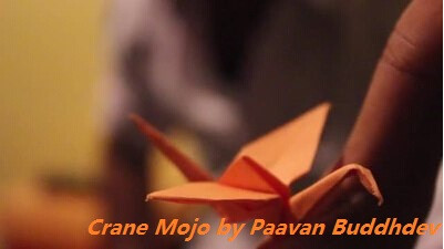 Crane Mojo by Paavan Buddhdev