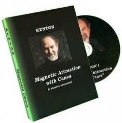 Magnetic Cane by Kenton Knepper