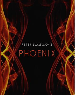 Phoenix by Petert Samelson