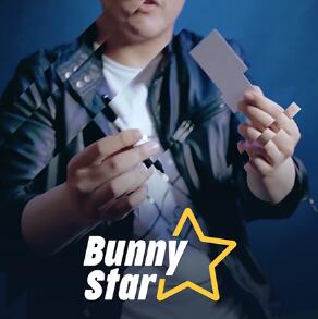 Bunny Star by Zee