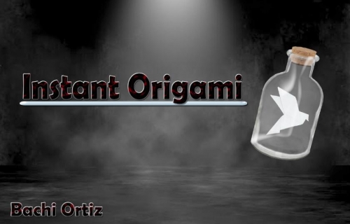 Instant Origami by Bachi Ortiz