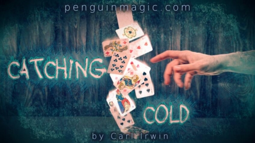 Catching Cold by Carl Irwin