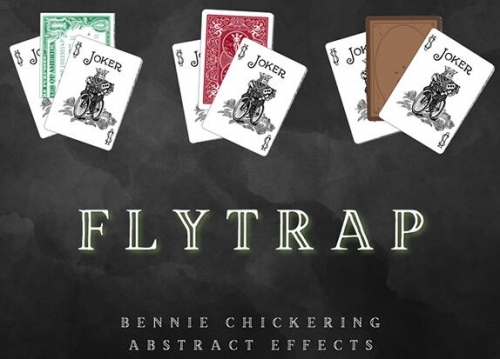 FlyTrap by Bennie Chickering