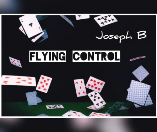 FLYING CONTROL by Joseph B