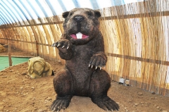 Parque de atracciones Realistic Big Size Marmot
