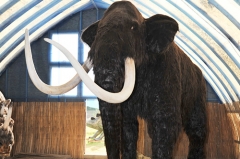 The Snow Park Realistic Mammoth