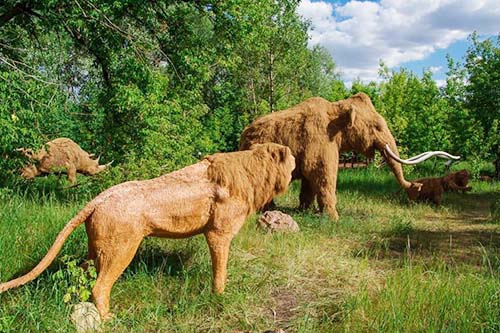 Life Size Animal Figures Lion