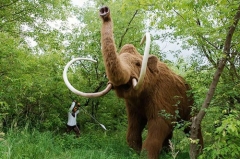 Estatua de mamut realista