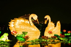 Cisne de linterna de año nuevo chino impermeable al aire libre