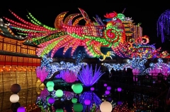 Linterna Decorada Show Flowers China Lantern Festival