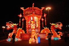 Decorated Lantern Show Flowers China Lantern Festival