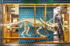 Réplicas a la venta esqueleto de dinosaurio prehistórico