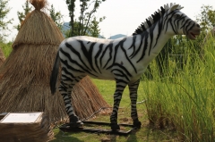 Real Size Animal Model of Zebra