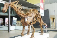 Escultura de esqueleto de dinosaurio T-rex de tamaño natural