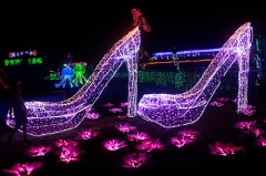 Atractivo Animal Lion Lighting Festival Linternas Chinas