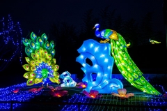 Celebrate Holiday With Lantern Decoration Festival