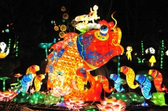 Espectáculo de linterna asiática al aire libre para el Festival de linterna del año nuevo chino