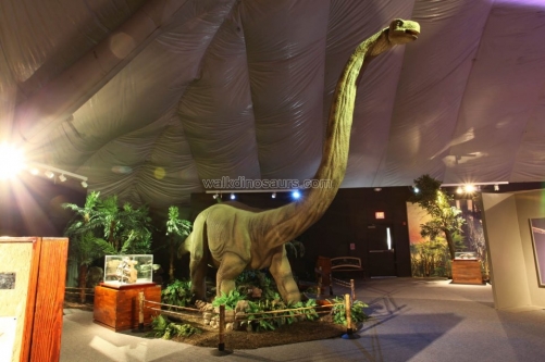 Robotic Dinosaur Indoor Exhibition Model