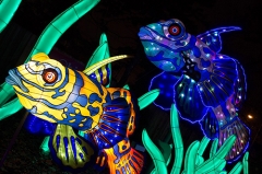 Chinese Art Lantern Fish Model for Shopping Mall