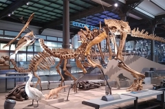Escultura de esqueleto de dinosaurio de interior T-rex