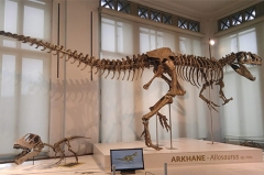 Esqueleto de dinosaurio de plástico de imitación para la venta