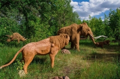 Estatua de mamut realista