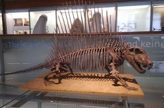 Modelo animado de esqueleto de dinosaurio animado