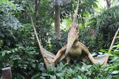 Amusement Park Dinosours Frame Dinosaur