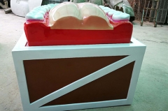 Fiberglass Teeth Model for Display