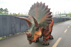 4 Legs Triceratops Life Size Walking Dinosaur Costume