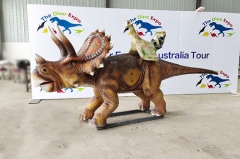 Modelo realista de Triceratops paseo en dinosaurio