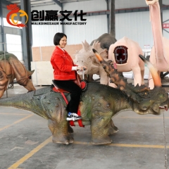 Amusement Park Dinosaur Ride Most Popular Dinosaur Ride