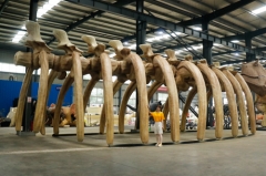 Pasaje de esqueleto de dinosaurio de parque temático al aire libre en venta