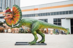 6 meters Dilophosaurus Animatronic Dinosaurs