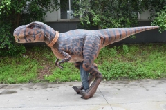 Dinosaur Costume Velociraptor