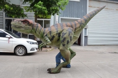 Dinosaur Costume