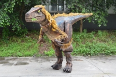 Dinosaur Costume with Feather
