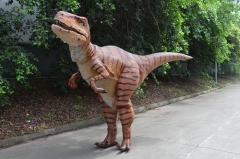 Raptor Costume