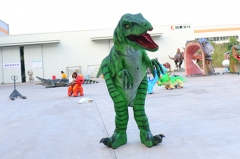 Dinosaur Costume