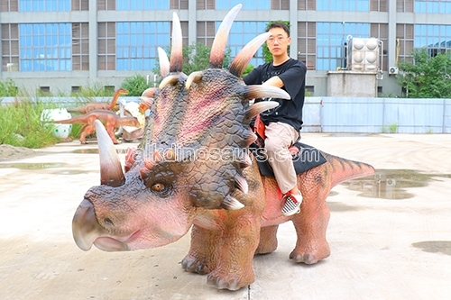 Triceratops Walk Dinosaur Rides