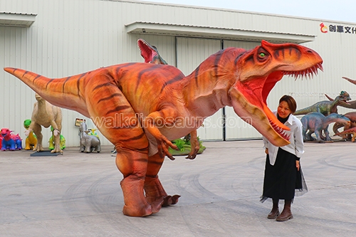 6 Meters Dinosaur Costume