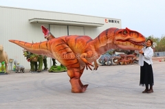 6 Meters Dinosaur Costume