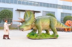 Animatronic Dinosaur Triceratops