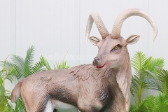 Animatronic Capra ibex