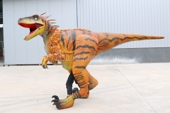 Dinosaur Costume with Feather