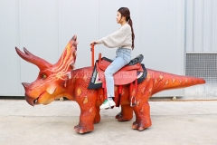 Triceratops Rides