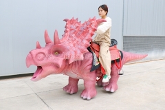 Styracosaurus Rides