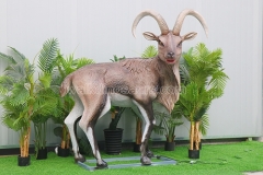 Animatronic Capra ibex