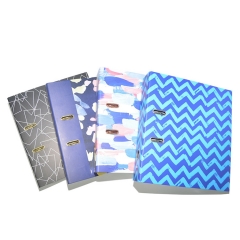 Customized Popular 3 4 D Ring Binder Folder With The Printing And Customized Logo