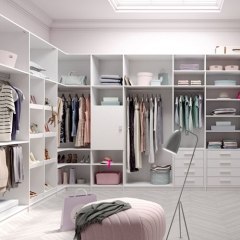 The whole cloakroom customized walk-in closet/wardrobe